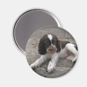 Aimant Charlie Le Springer ! (Recto/Verso)