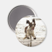 Aimant Charlie Le Springer ! (Recto/Verso)