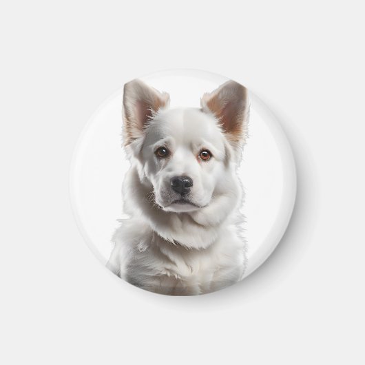 Aimant Charming White Shepherd Puppy Portrait (Devant)