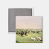 Aimant Chasse au buffle Camouflé (Recto/Verso)