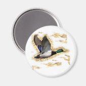 Aimant Chasse au canard de Mallard (Recto/Verso)