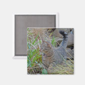 Aimant Chasse au chat (Recto/Verso)