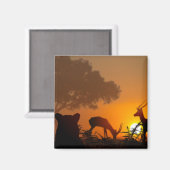 Aimant Chasse au lion (Recto/Verso)