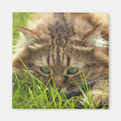 Aimant Chasseur d'oeil vert (Devant)