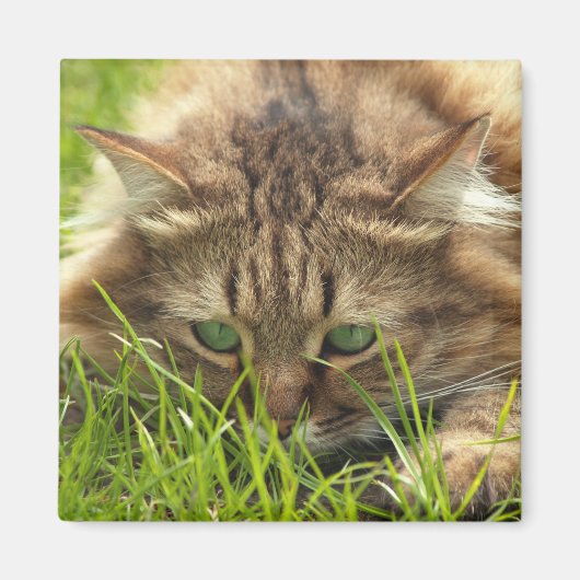 Aimant Chasseur d'oeil vert (Devant)