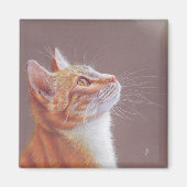 Aimant Chat  (Devant)
