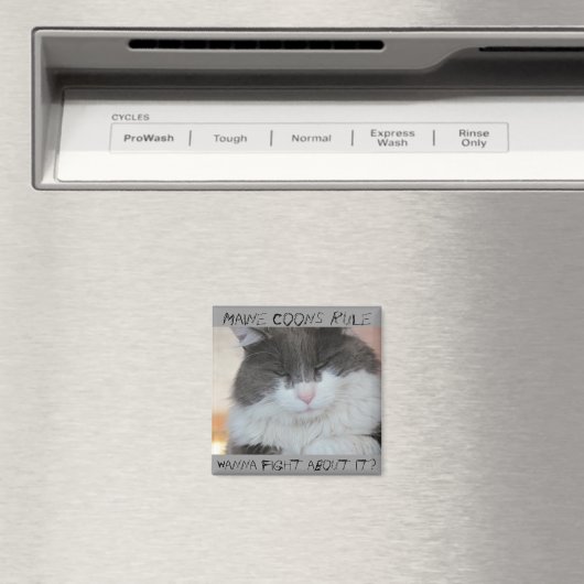 Aimant Chat à coon Grumpy Maine (In Situ (Lave-vaisselle))