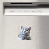 Aimant Chat à courte air britannique gris (In Situ (Lave-vaisselle))