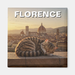 Aimant Chat à Florence Italie Duomo Voyage