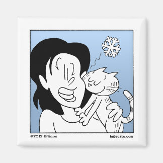 Aimant Chat à nez froid