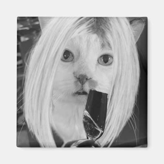 Aimant Chat à vin (Devant)