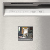 Aimant Chat accuse le chien (In Situ (Lave-vaisselle))