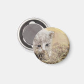 Aimant Chat, Animal De Compagnie, Mignonne (Recto/Verso)