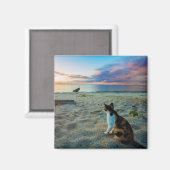 Aimant Chat Assis Sur Une Plage (Recto/Verso)