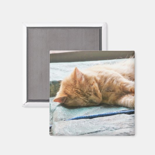 Aimant Chat au gingembre Longhé (Recto/Verso)