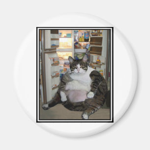 AIMANT CHAT AU RÉFRIGÉRATEUR