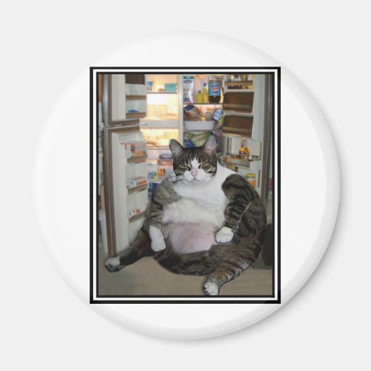 AIMANT CHAT AU RÉFRIGÉRATEUR (Devant)