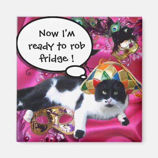 AIMANT CHAT AVEC CASQUETTE HARLEQUIN ET MASQUERADE DE FÊT (Devant)
