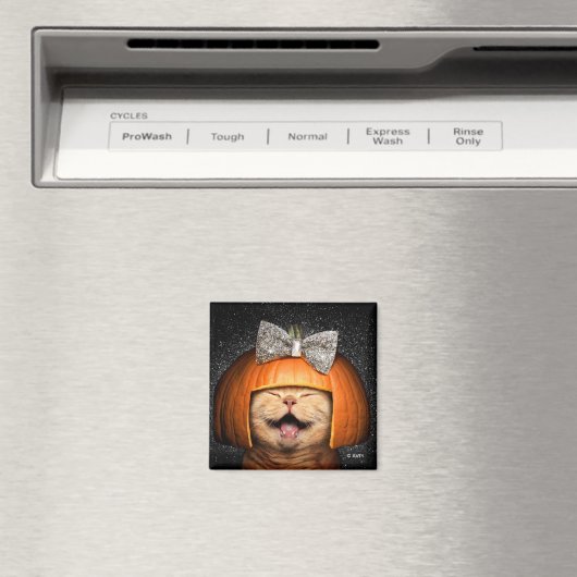 Aimant Chat Avec Cheveux Citrouilles (In Situ (Lave-vaisselle))