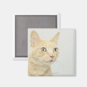 Aimant Chat avec les yeux ouverts (Recto/Verso)