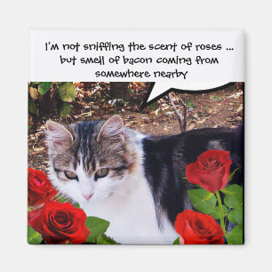 AIMANT CHAT AVEC ROSES ROUGES ET BACON