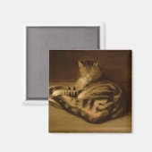 Aimant Chat baissier, 1898 (Recto/Verso)