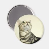 Aimant Chat Bengale de marbre (Recto/Verso)