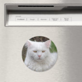 Aimant Chat blanc grave (In Situ (Lave-vaisselle))