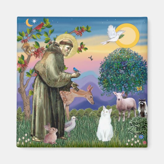 Aimant Chat Blanc - Saint François (Devant)