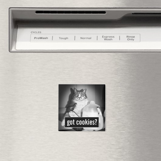 Aimant Chat Boire Du Lait De Jug (In Situ (Lave-vaisselle))