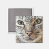 Aimant Chat Brown Longhair Tabby (Recto/Verso)