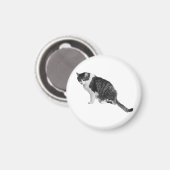 Aimant Chat Calme Invite La Paix Dans Les Espaces  (Recto/Verso)