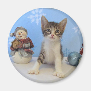 Aimant Chat, chaton, Noël, délivrance, photo