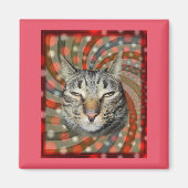 Aimant Chat cool - VOUS ACCEPTEZ Votre Cadeau ! (Devant)