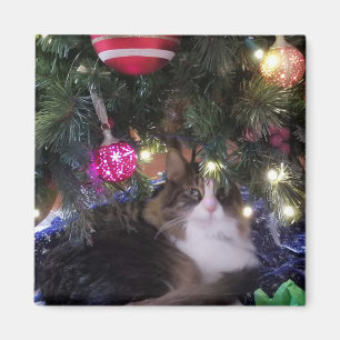 Aimant Chat cosy sous l'arbre de Noël