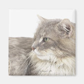 Aimant Chat couché (Devant)