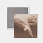 Aimant Chat couché (Recto/Verso)
