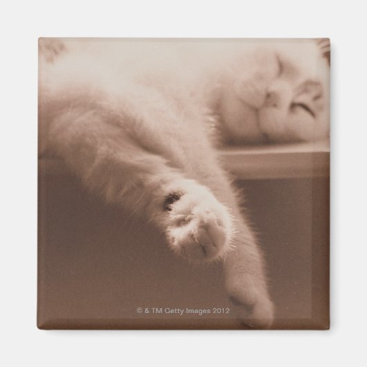 Aimant Chat couché (Devant)