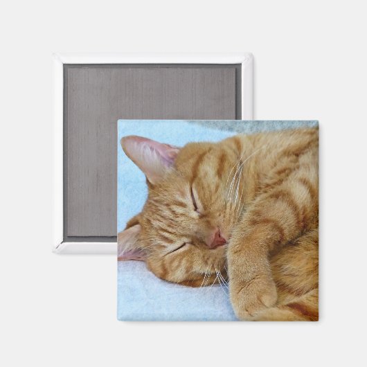 Aimant Chat couché (Recto/Verso)