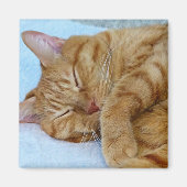 Aimant Chat couché (Devant)