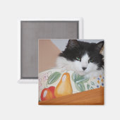 Aimant Chat dans un bol de fruits (Recto/Verso)