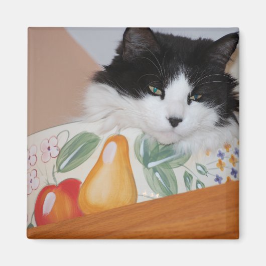 Aimant Chat dans un bol de fruits (Devant)