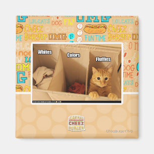 Aimant Chat de blanchisserie