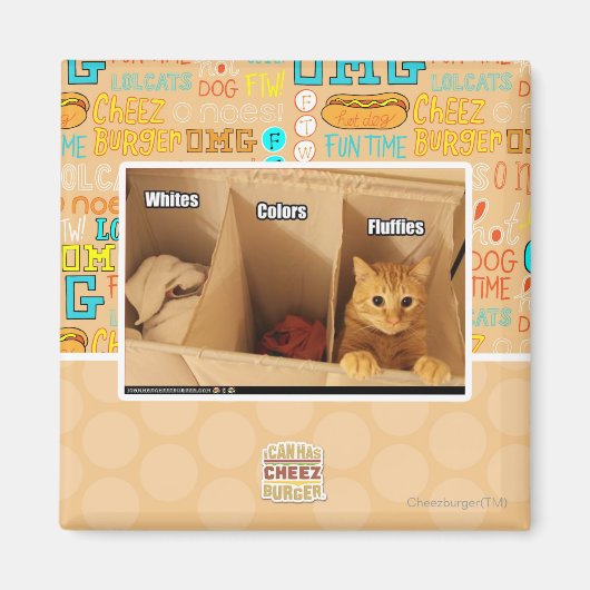 Aimant Chat de blanchisserie (Devant)