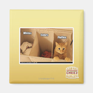 Aimant Chat de blanchisserie