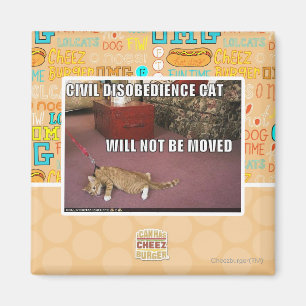 Aimant Chat de désobéissance civile