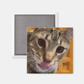 Aimant Chat de gaufres (Recto/Verso)