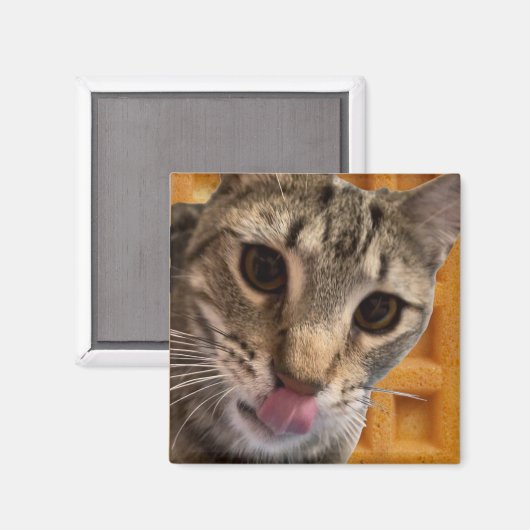 Aimant Chat de gaufres (Recto/Verso)