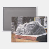 Aimant Chat de librairie (Recto/Verso)