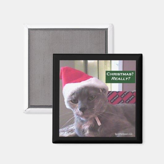 Aimant Chat de Noël (Recto/Verso)